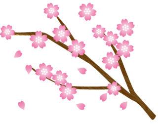 sakura03-003.png